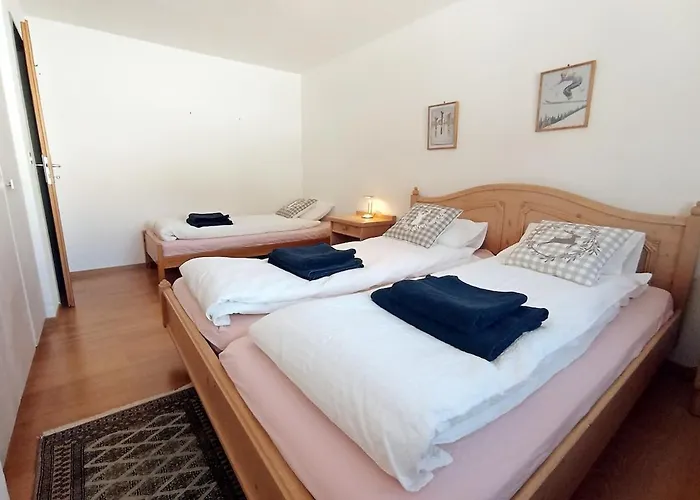 Sunny 5 Guests By Moosfluh Gondola Ридеральп