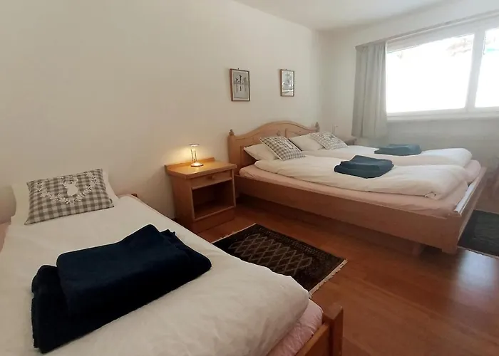 Sunny 5 Guests By Moosfluh Gondola