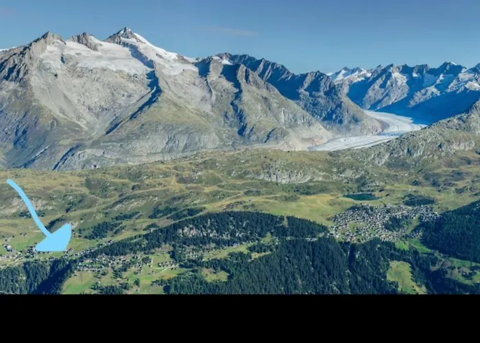 Апартаменты Sunny 5 Guests By Moosfluh Gondola